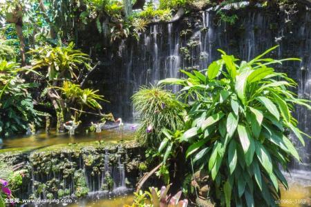 ձһ뾳߸ȾϷǳֵı¹ڲ