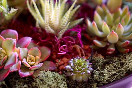 ܹģ2000ԪйҵĻ仧Ϻ